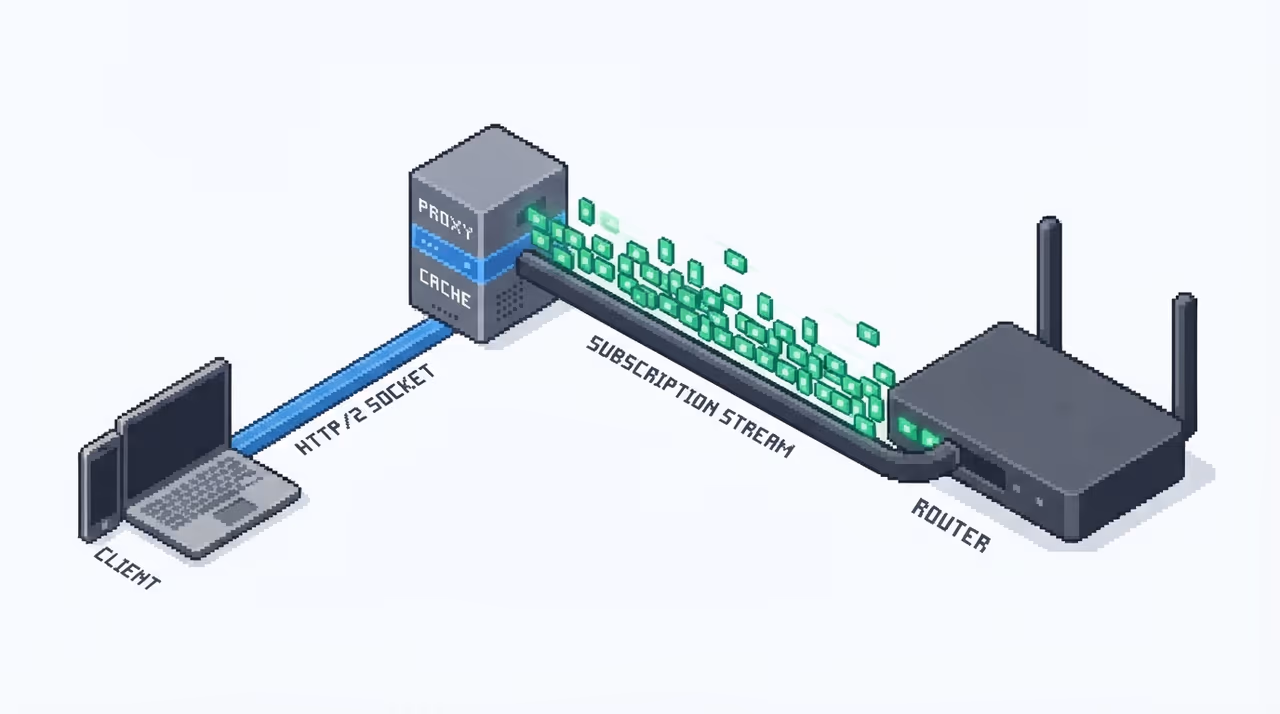 A client on one HTTP/2 socket to a proxy with cached session, linked by a persistent socket to a router