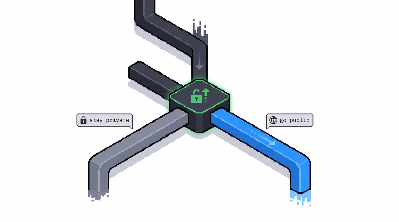 A branching path between staying private and going public